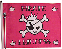 pink pirate atv flag